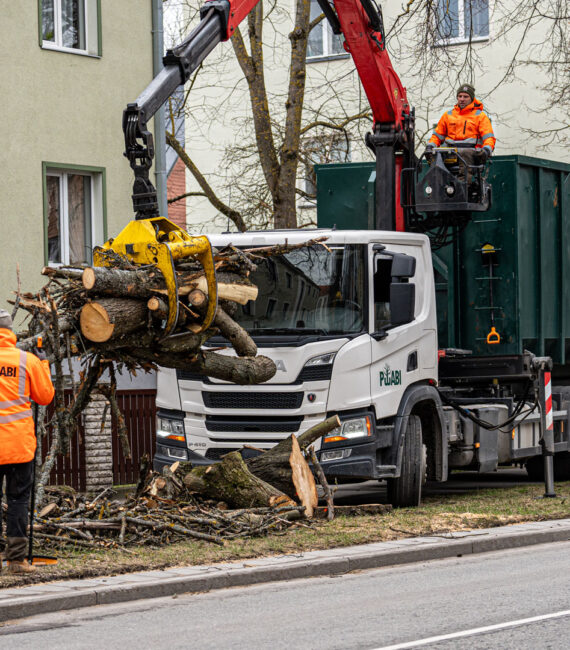 Puuabi arborist jätab alati korrastatud töömaa